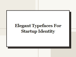 Elegant Typefaces for Startup Identity